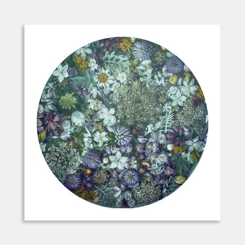 Carrot Weed Art Print by Marina de Wit