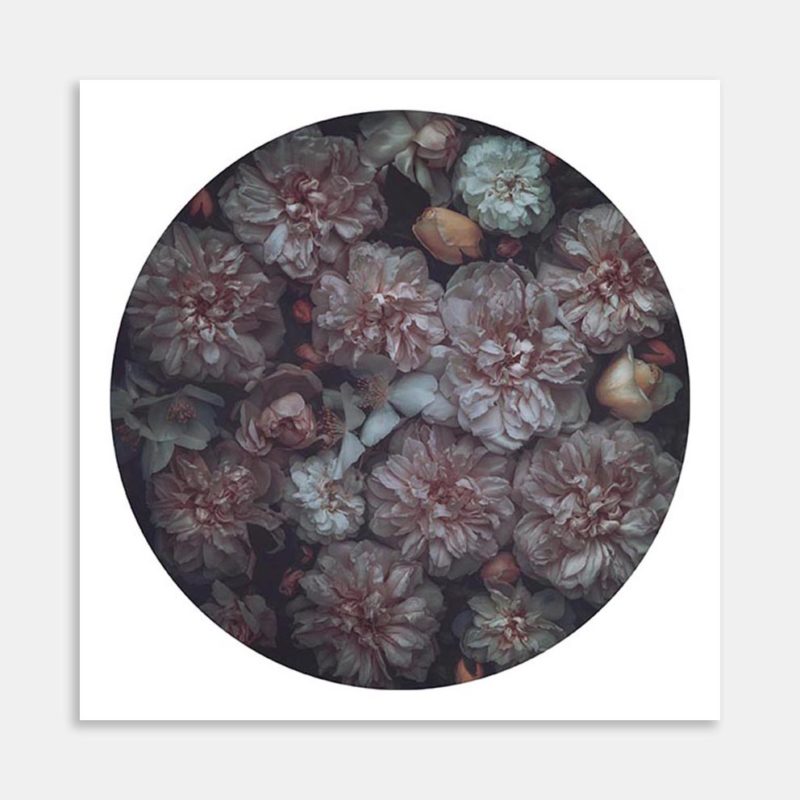 Hedge Rose Art Print by Marina de Wit