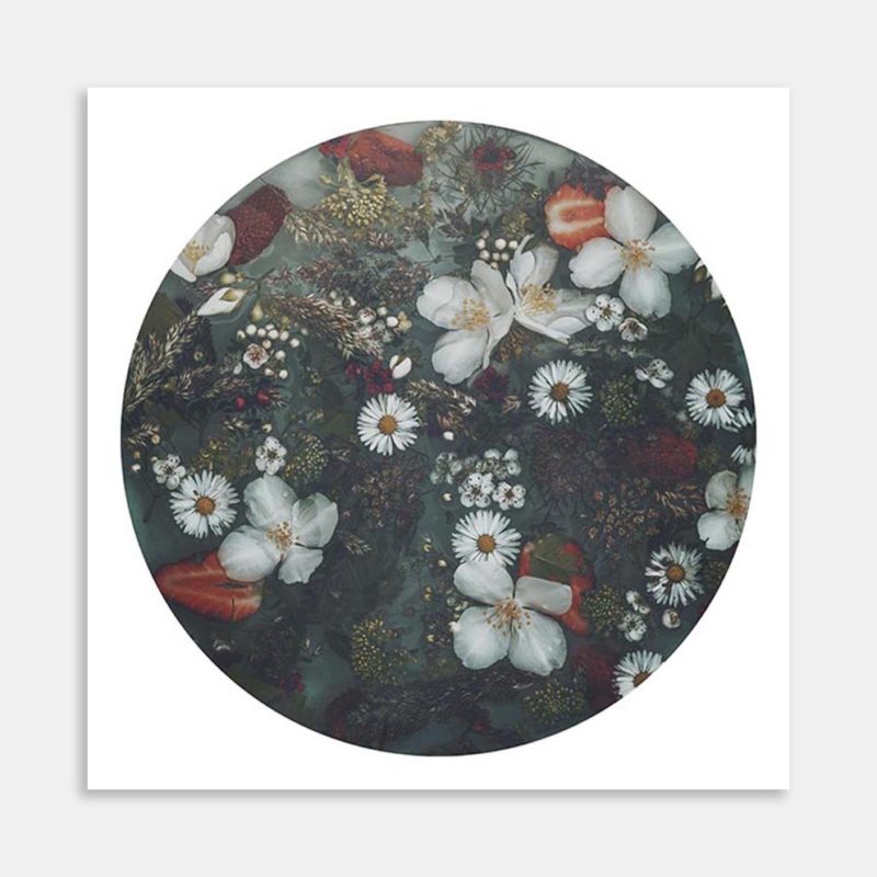 Strawberry Art Print by Marina de Wit