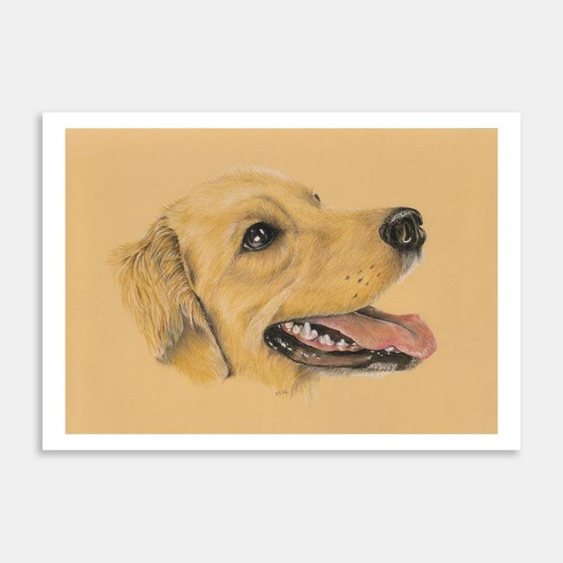 Golden Retriever Art Print By Ellen Thompson