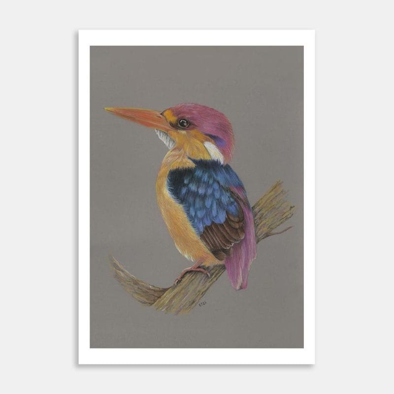 Kingfisher No.2 Art Print By Ellen Thompson
