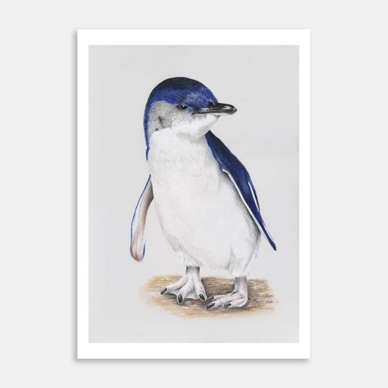 Penguin Art Print By Ellen Thompson