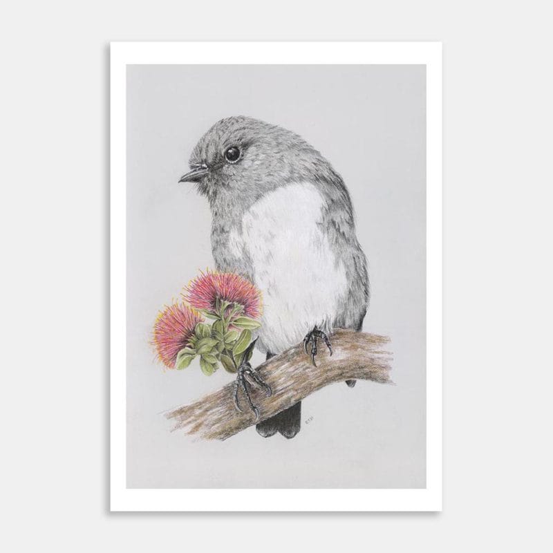 Robin Art Print By Ellen Thompson