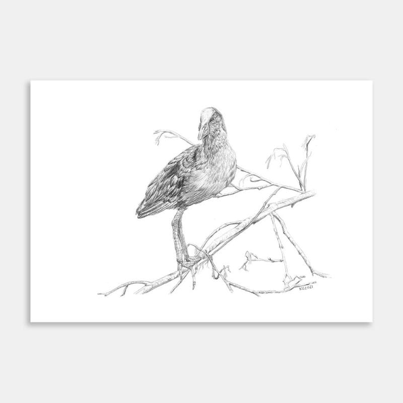 Alert For Opportunities Art Print By Keryn Grogan