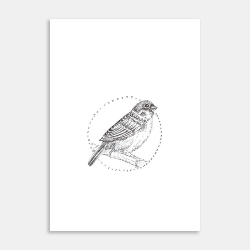 Little Sparrow Art Print By Keryn Grogan