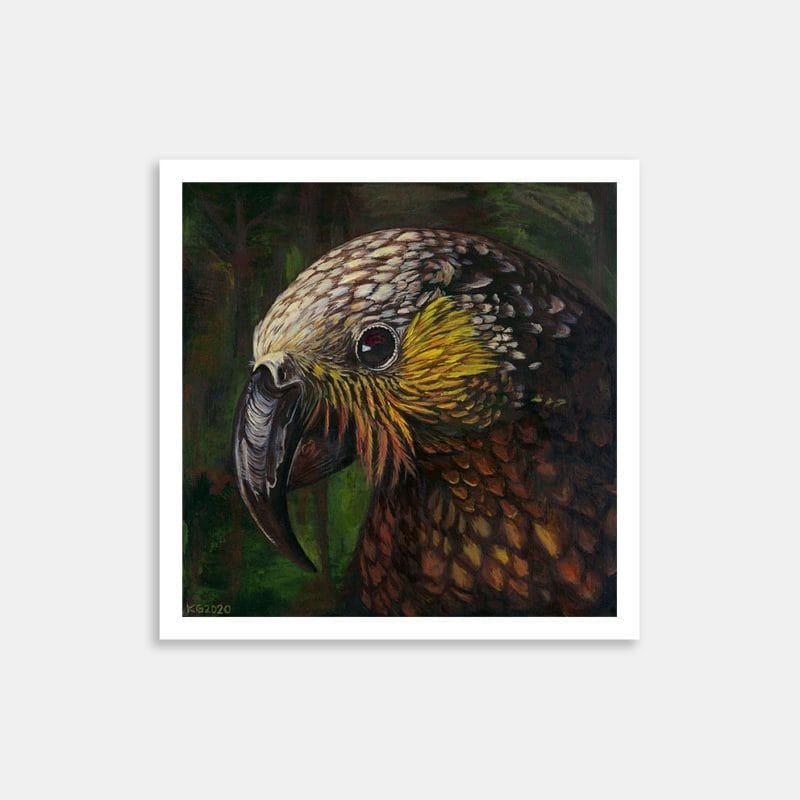 Plumage Art Print By Keryn Grogan