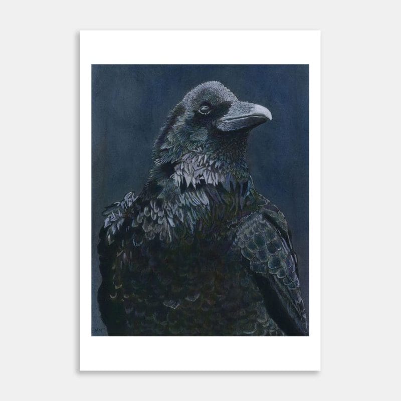 Crow Art Print By Liam OHalloran