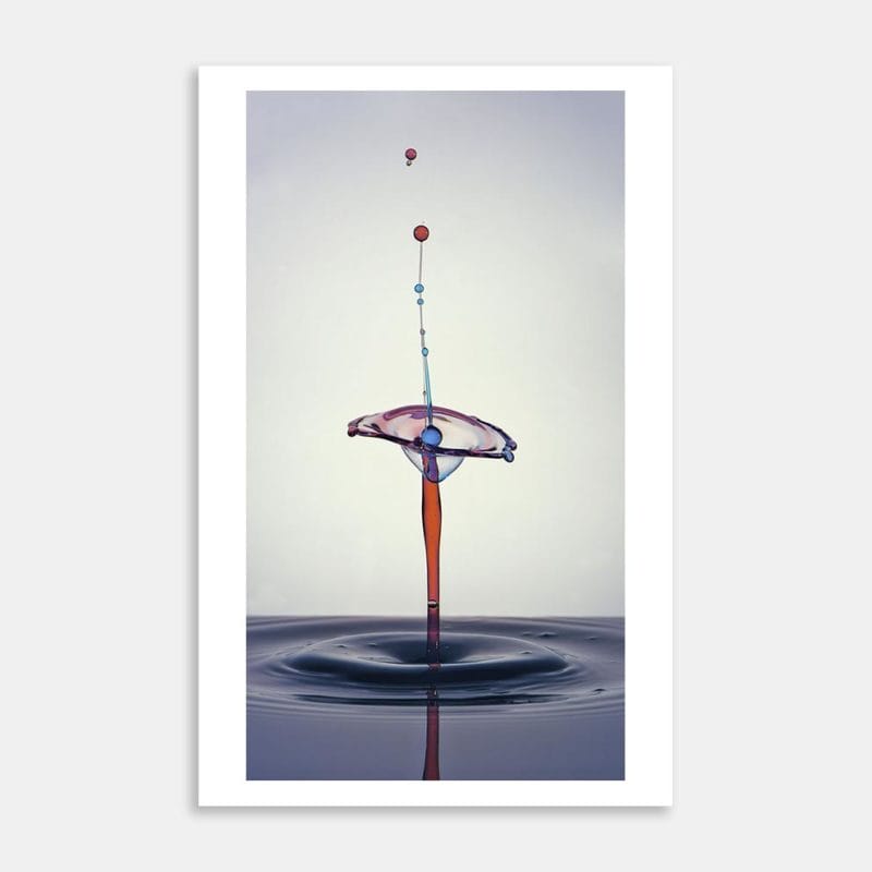 Water Flowers No.26 Art Print By Peter Arnold