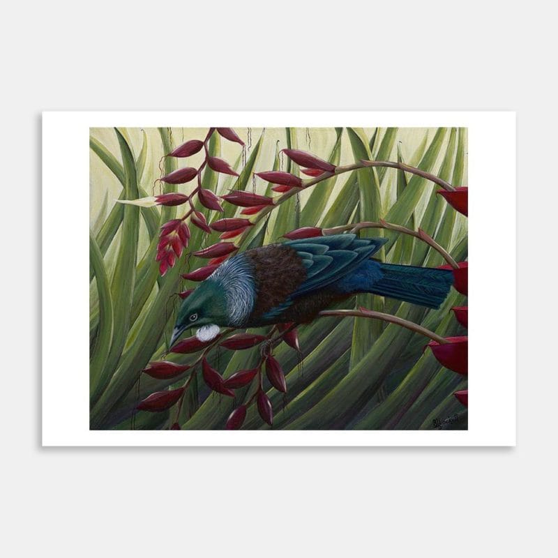 Tui on Bromeliad Flower Art Print By Sue Lockett