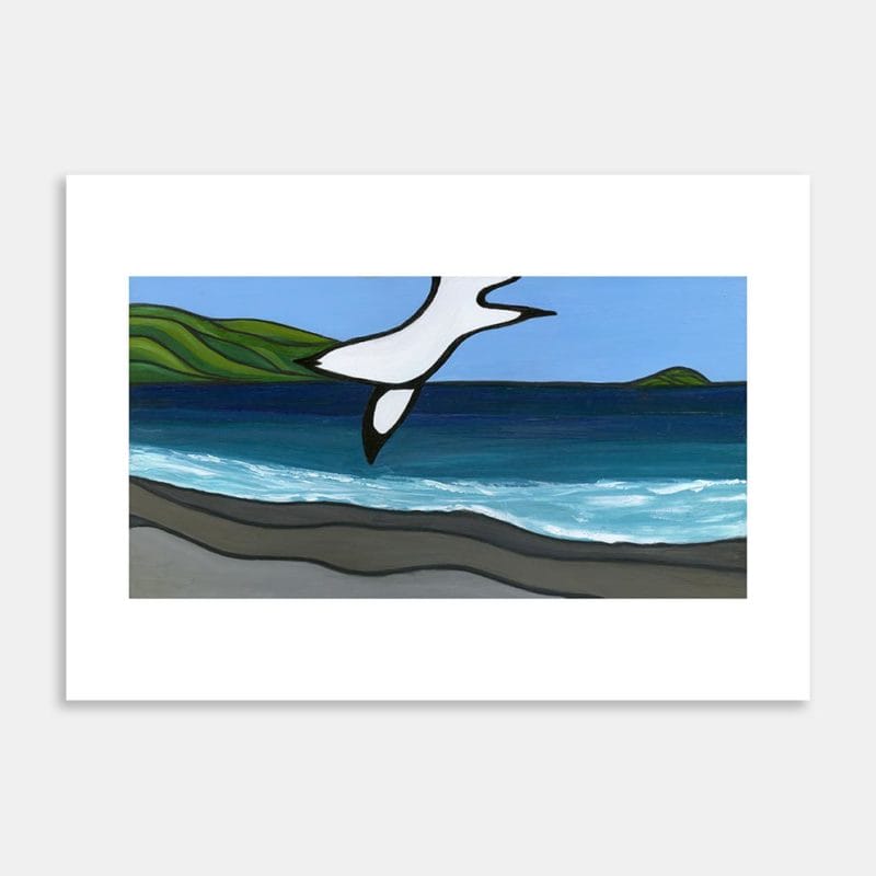 Gannet Revisited Limited Edition Art Print By Gabriella Williams