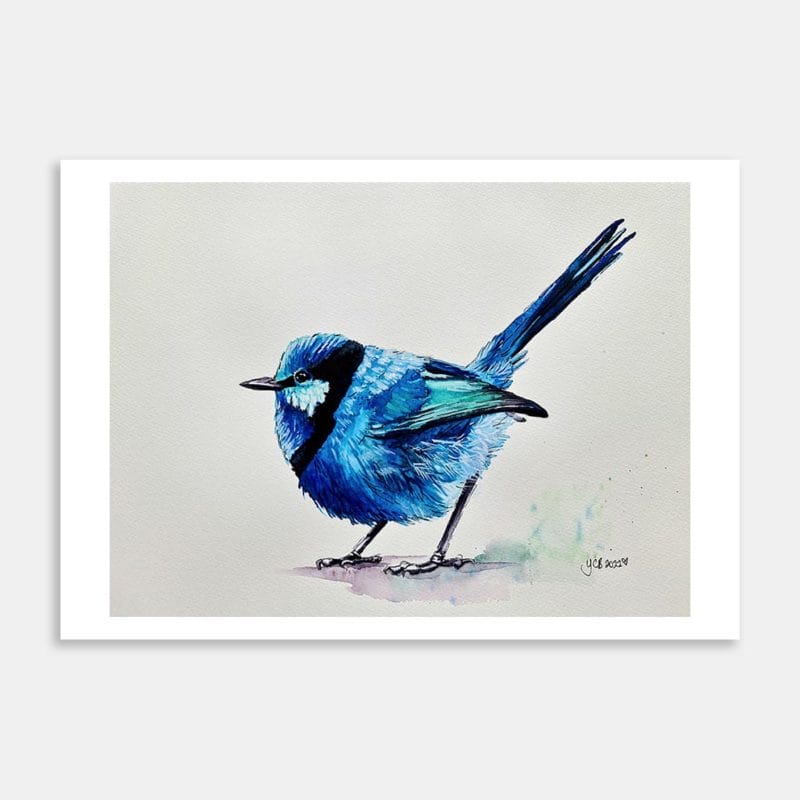 Splendid Blue Wren Art Print By Yvonne Brooks