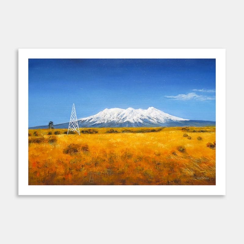 Ruapehu Art Print By Colleen Tetley