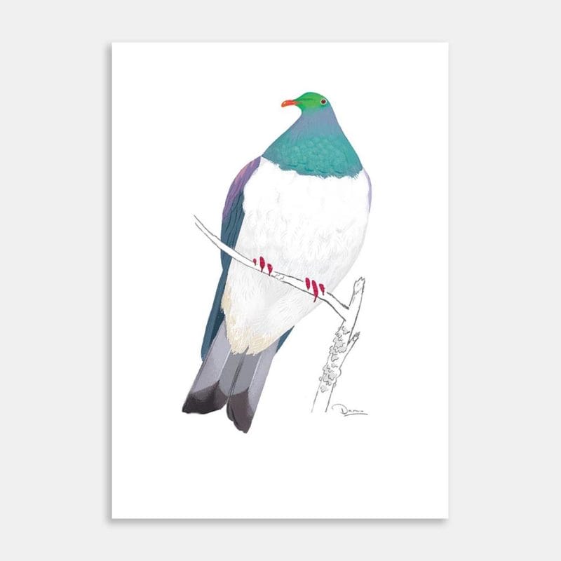 Native Pigeon (Kereru) Art Print By Daron Parton
