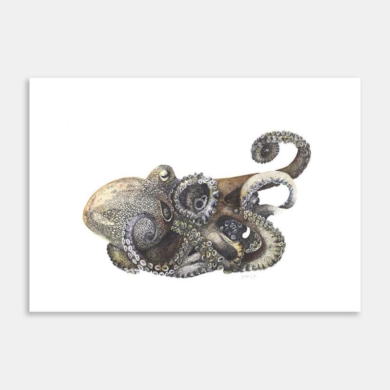 Darkness Limited Edition Art Print By Dickie
