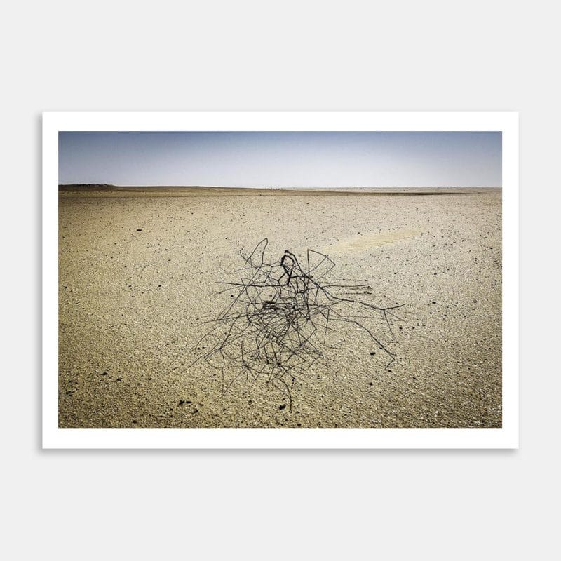 Tumbleweed Art Print By John Botton