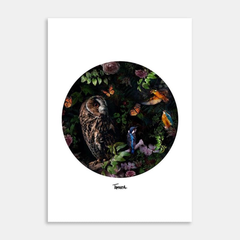 Kingi and Ruru Art Print By Tabitha Maxwell