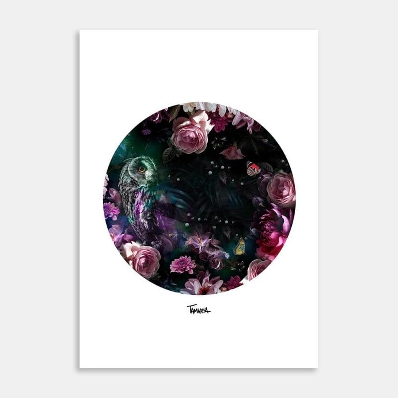 Matariki Ruru Art Print By Tabitha Maxwell