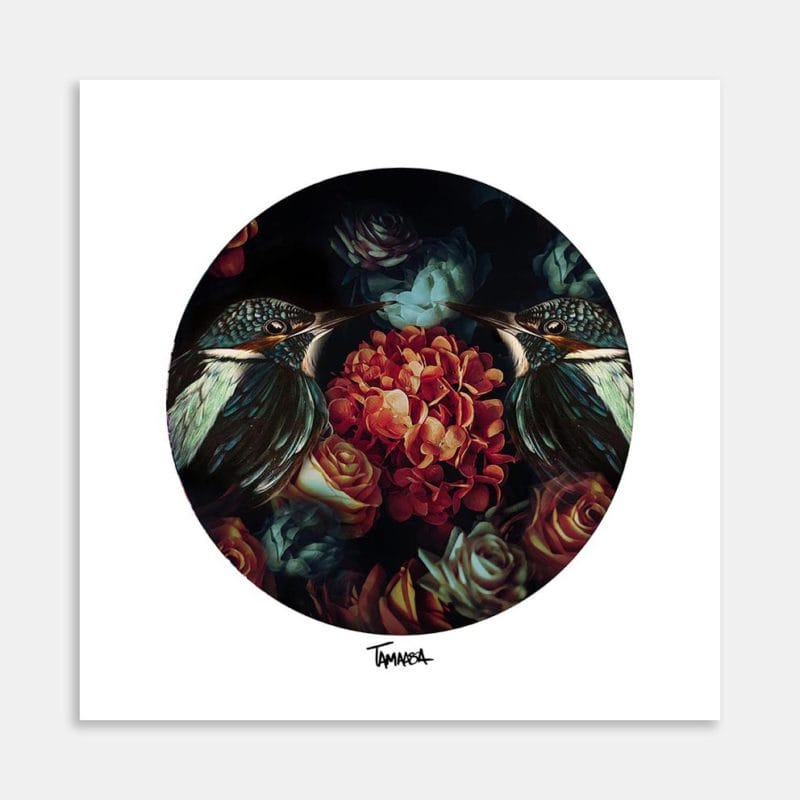 Kingi Square Art Print By Tabitha Maxwell