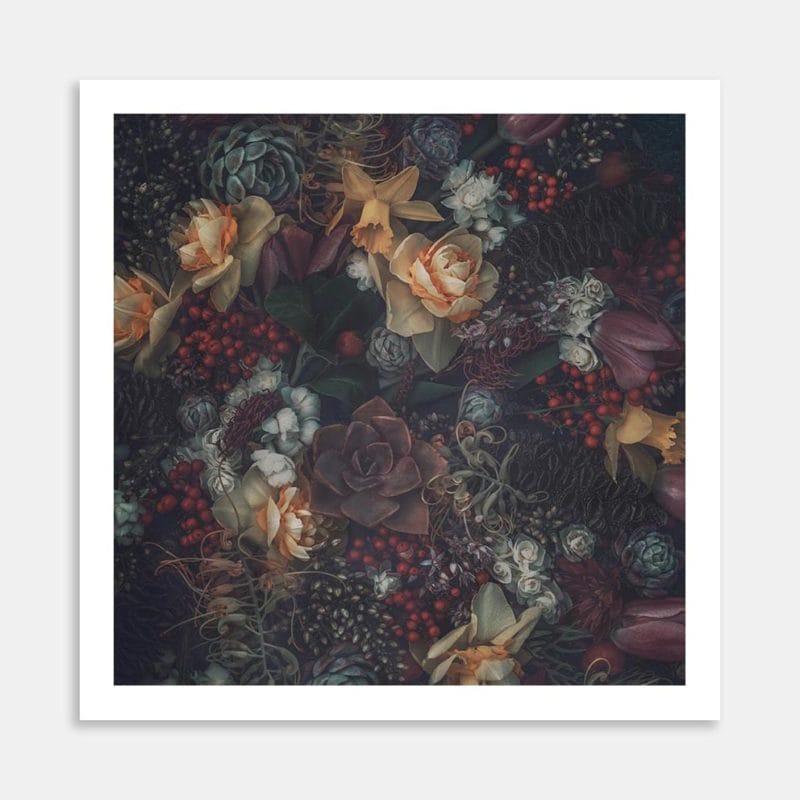 Daffodils and Succulents Art Print by Marina de Wit