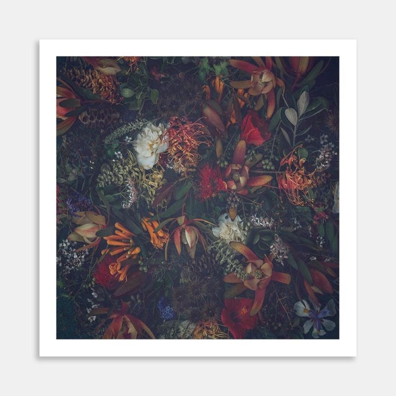 Pandoras Box Art Print by Marina de Wit