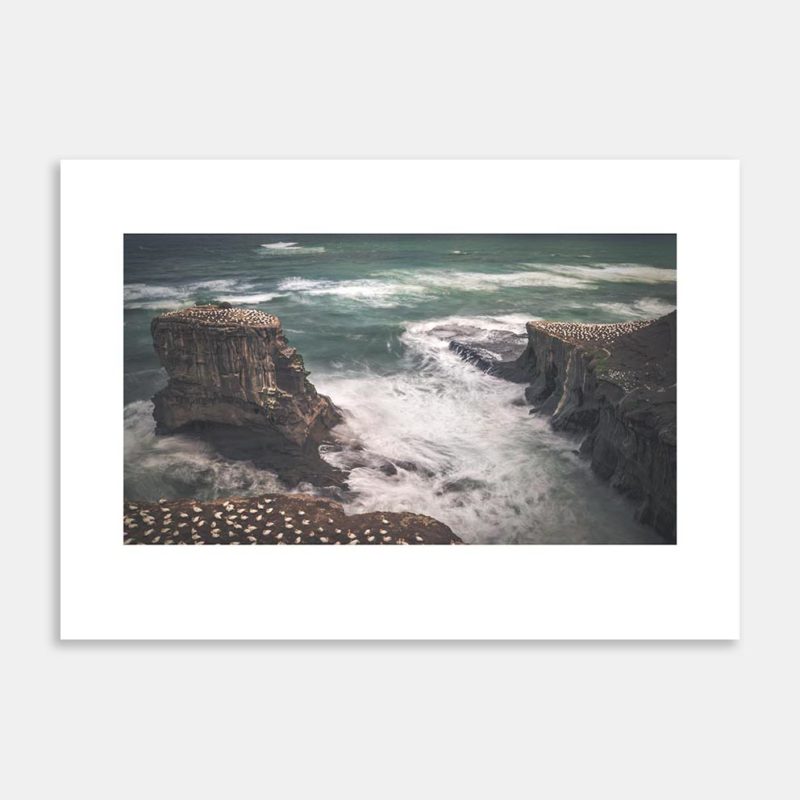 Isolation II Limited Edition Art Print By Charlotte E. Johnson