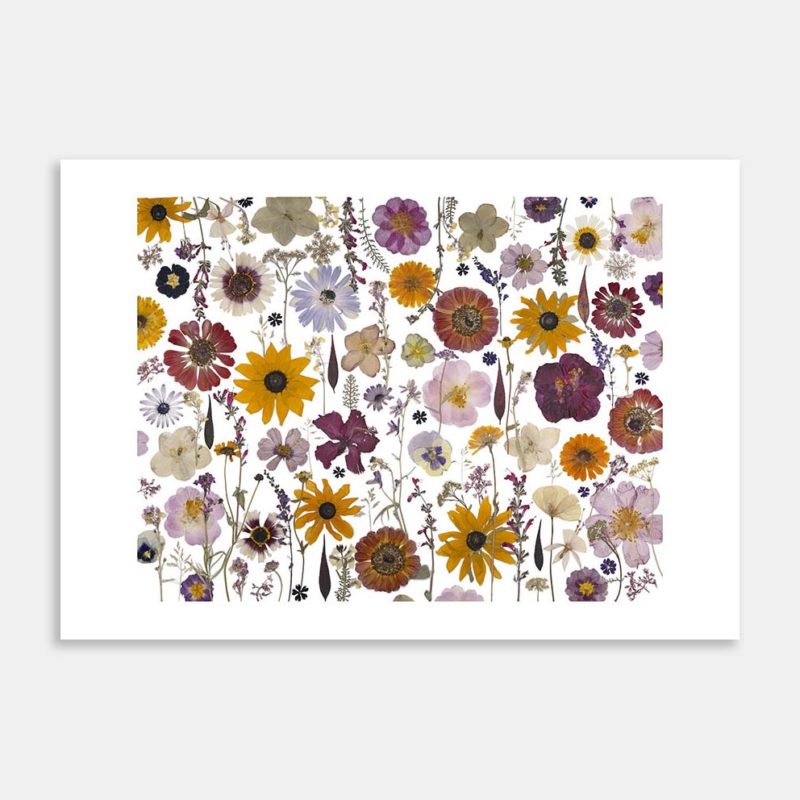 Garden Fiesta Art Print By Kay Olsen