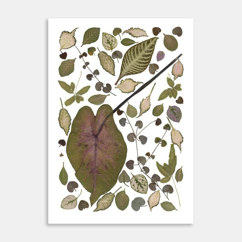 House Plants Art Print By Kay Olsen