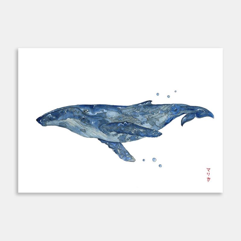 Humpback Whale Art Print By Malika Costar