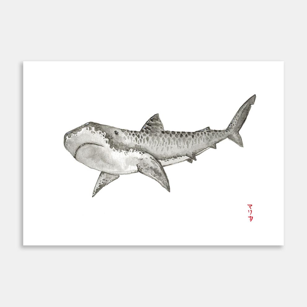 Cute tiger shark cartoon swimming 12714645 Vector Art at Vecteezy