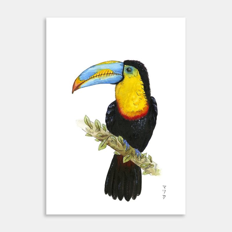Toucan Art Print By Malika Costar