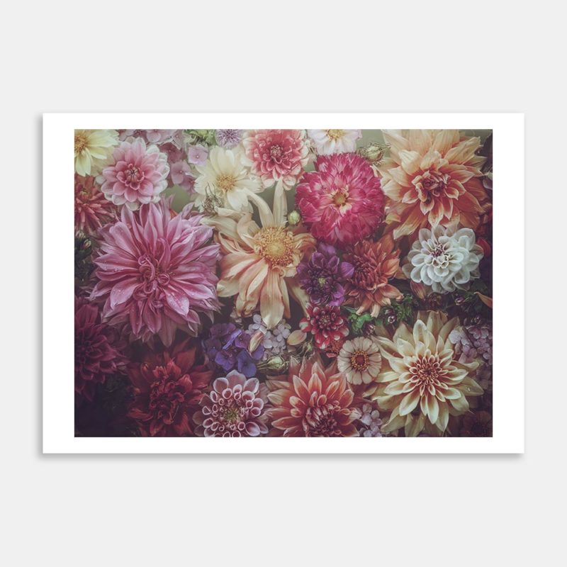 Rasberry Sorbet Art Print by Marina de Wit