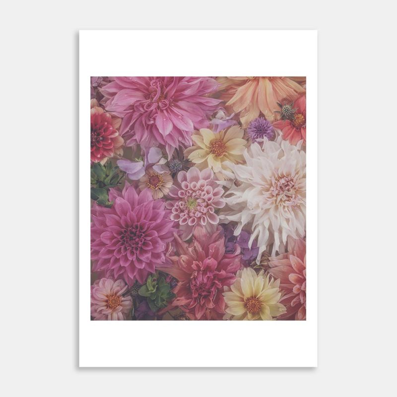 Soft Pink Art Print by Marina de Wit