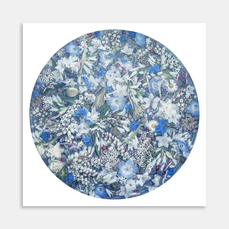 Forget Me Knot and Onion Flowers Art Print by Marina de Wit