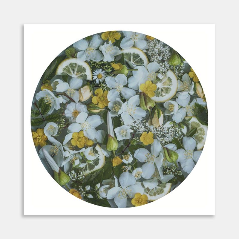 Lemon Art Print by Marina de Wit