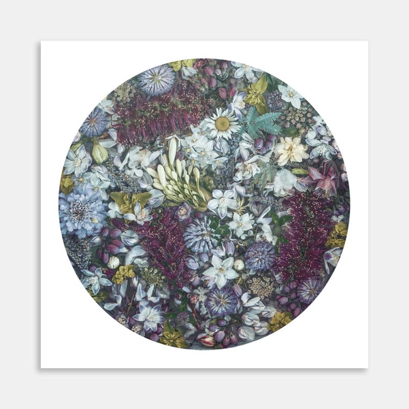 Potato Flowers Art Print by Marina de Wit