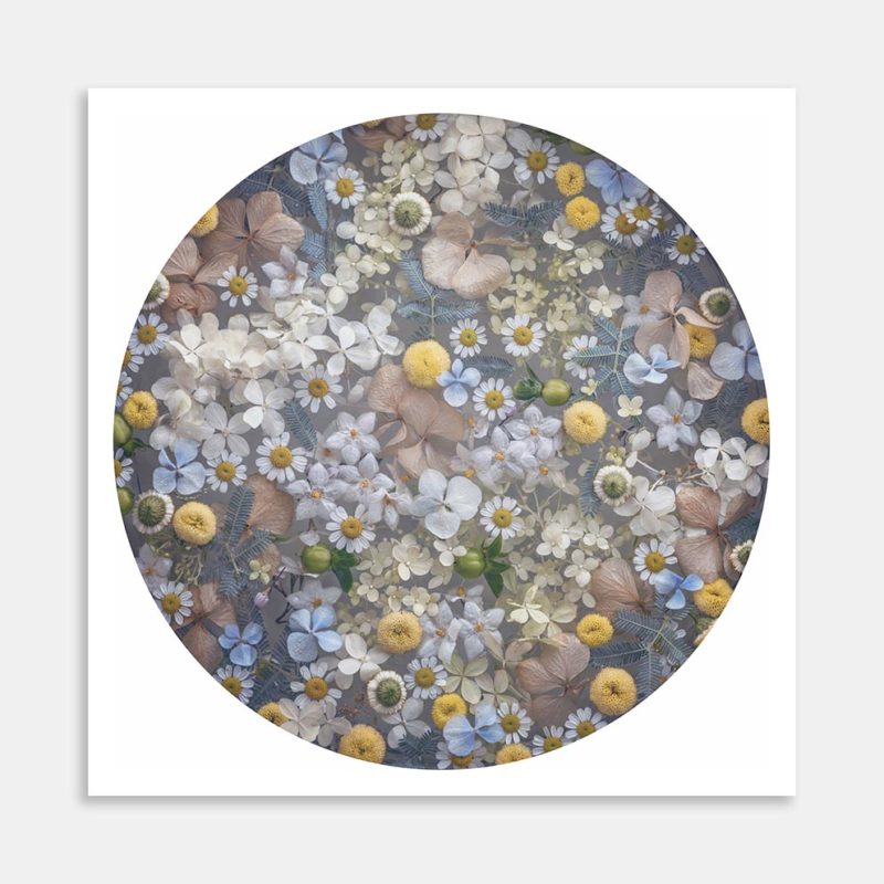 Tiny Collection Art Print by Marina de Wit