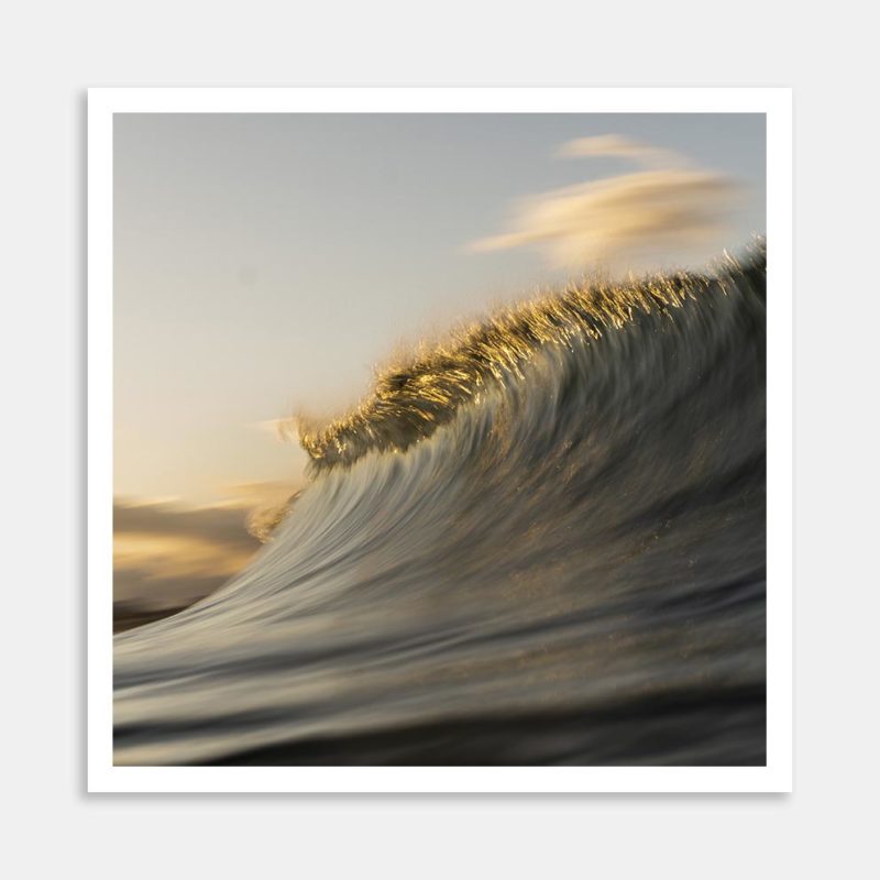 Gold Rush Art Print By Nick Whittaker