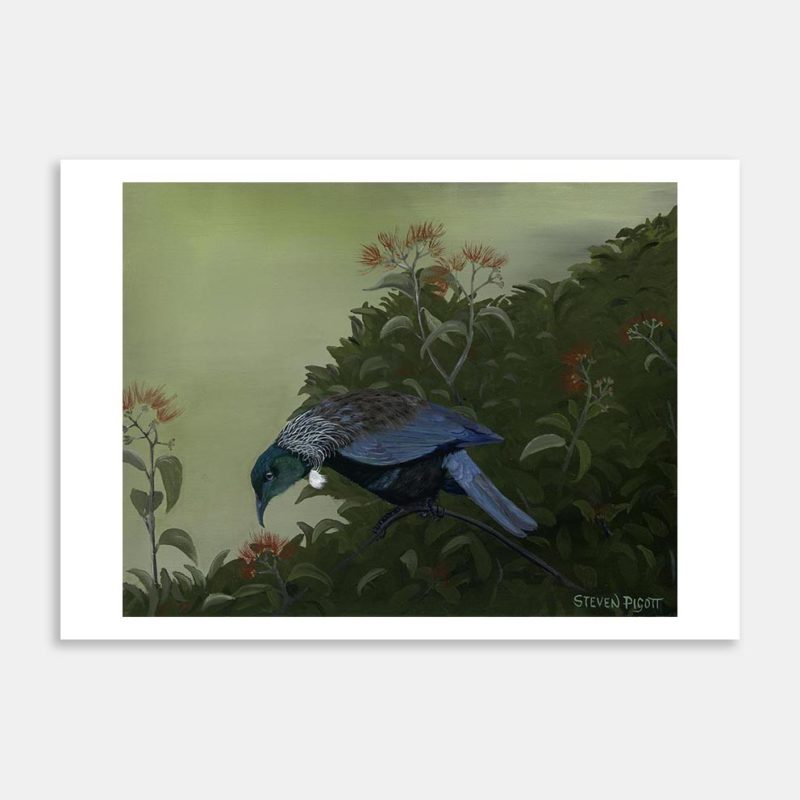 Tui Art Print By Steve Pigott