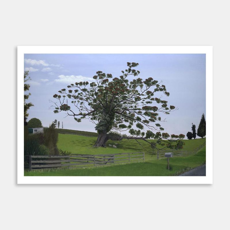 Pohutakawa Tree Art Print By Steve Pigott