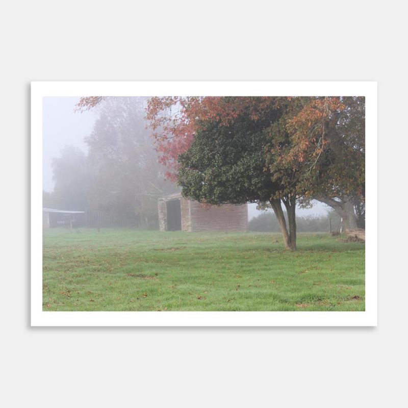 No.1 Art Print By Robert Brown