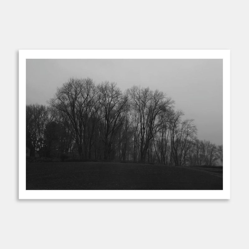 No.6 Art Print By Robert Brown