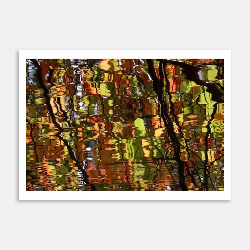 Reflection Art Print By Amy Tinling