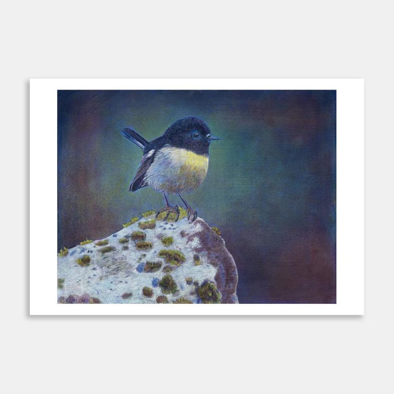 Tomtit Art Print By Liam OHalloran