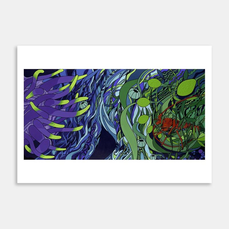 Underwater at the Cavalli Islands NZ Art Print By Nicky Lowe