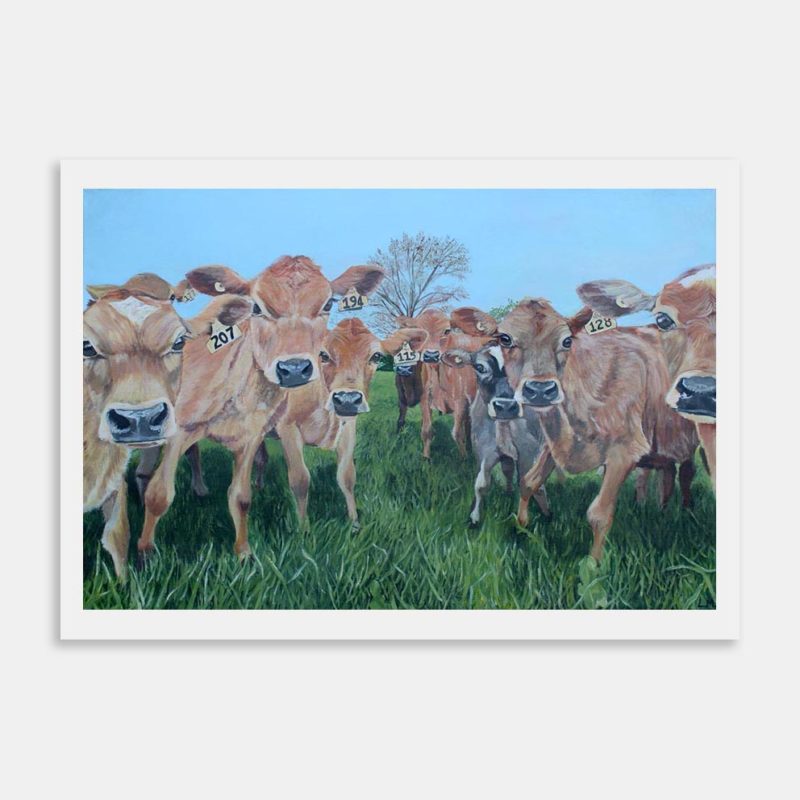Jersey Calves in Winter Art Print By Lauren Morley