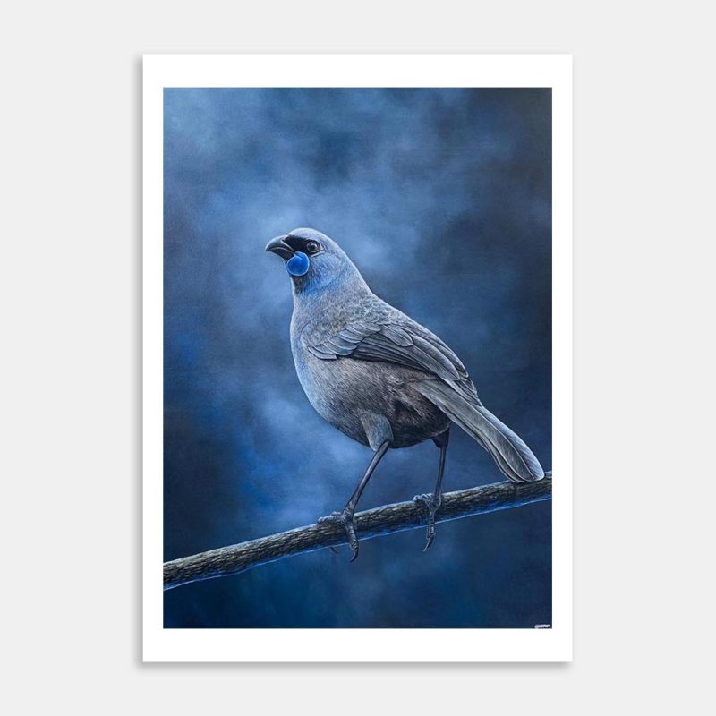 Kokako Dream Art Print By Jacobs Artwork
