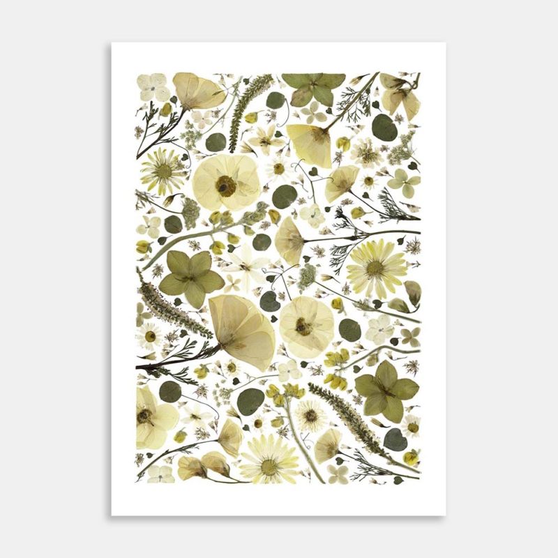 Sandy Shades Art Print By Kay Olsen