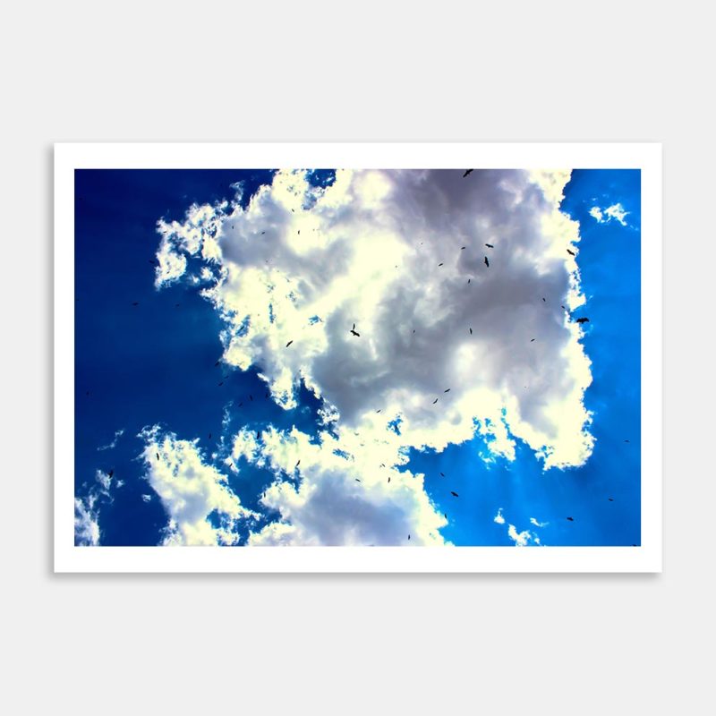 Clouds and Vultures Art Print By Carl Nehore