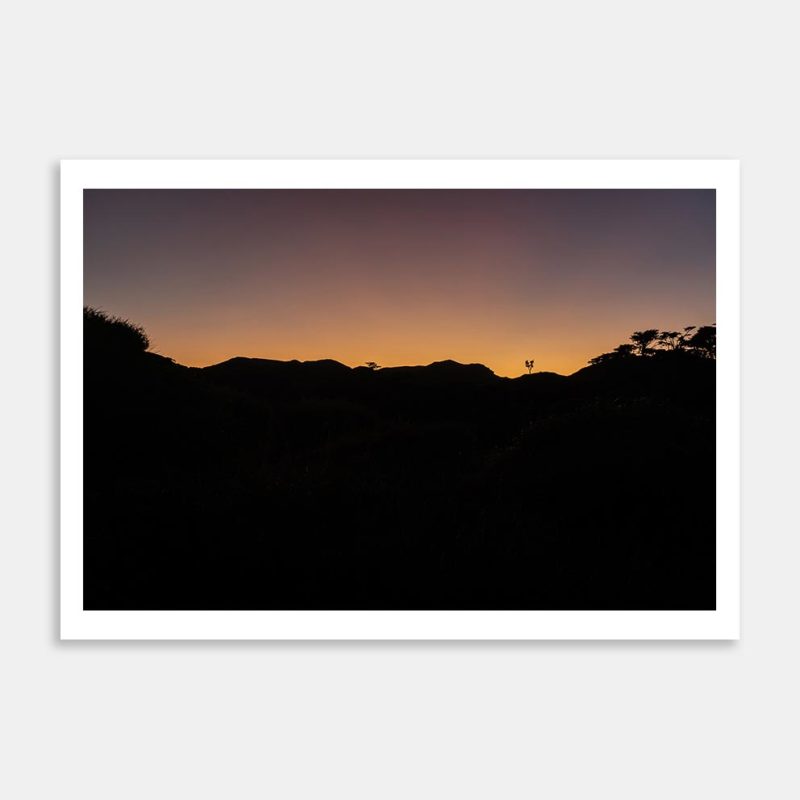 Sunrise Puponga Art Print By Carl Nehore