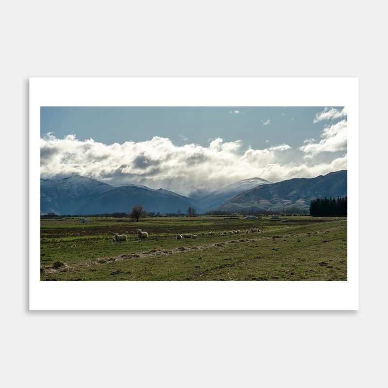South Island Landscape Art Print By Carl Nehore